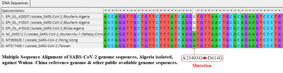 Image 2. " Multiple sequence alignment of genome sequences of SARS-CoV-2 - see the image legend "