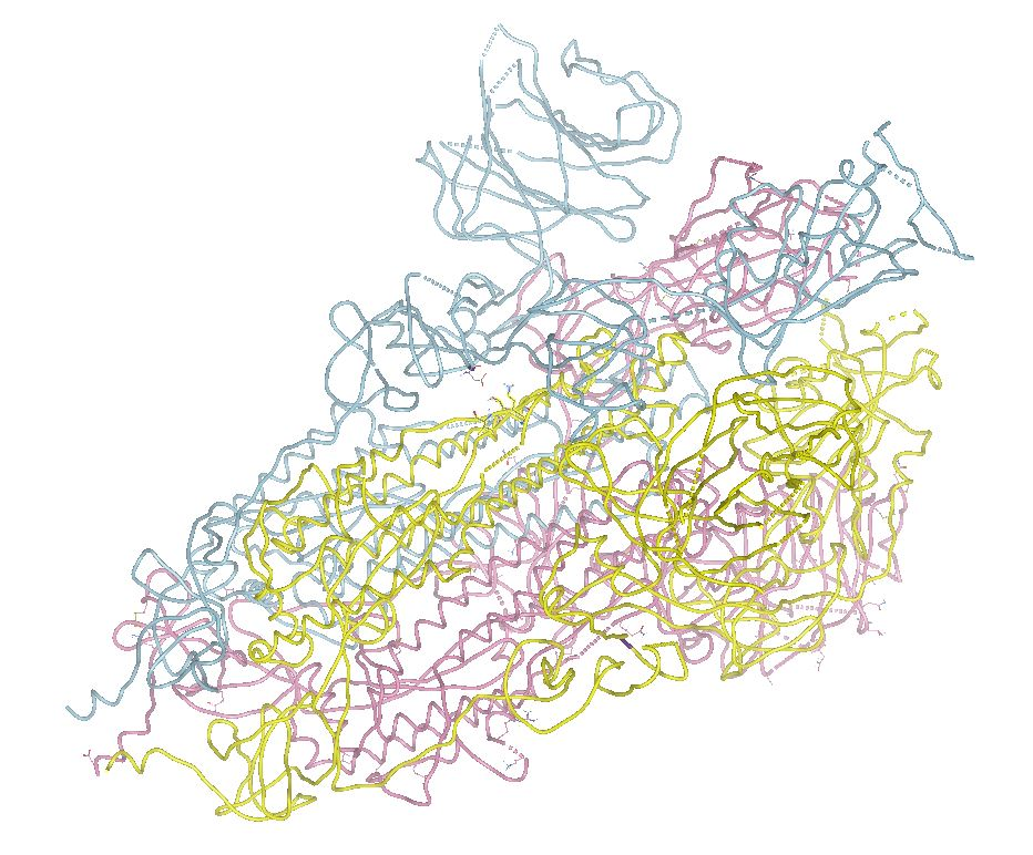 Image 4. " The 3D structure of the SARS-CoV-2 Spike protein - PDB id 6vsb.<br>See: https://bioinformaticstools.org/ssfs/ssfs.php?qry=6vsb "