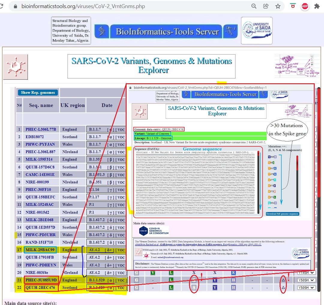 Image 3. "
						View 1: Omicron variant (B.1.1.529) genome sequence and mutations<br>
						Details are available in the SVGM-Explorer accessed here: <a href="https://www.bioinformaticstools.org/viruses/CoV-2_VrntGnms.php" 
						target="_blank">https://www.bioinformaticstools.org/viruses/CoV-2_VrntGnms.php</a>
						"