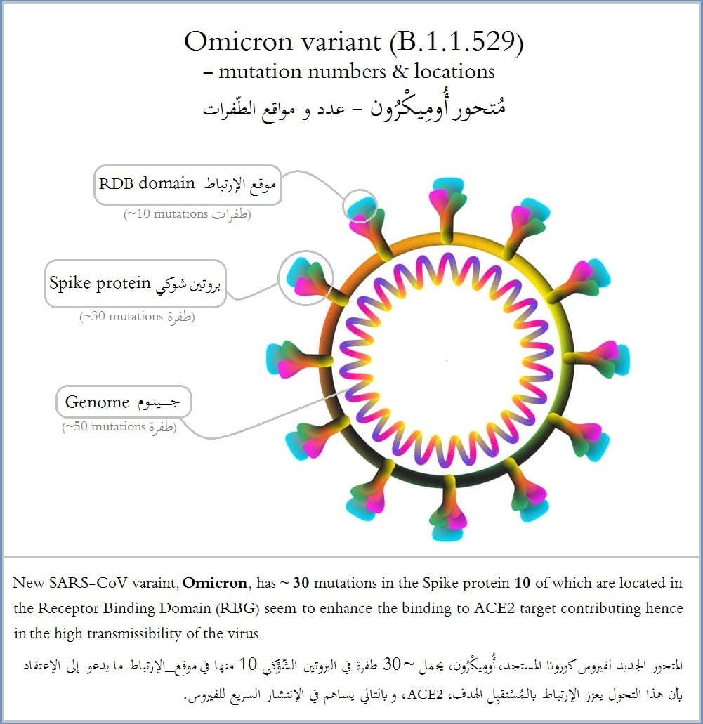 Image 2. " متحور أُومِيكْرُون - عدد و مواقع الطفرات .."