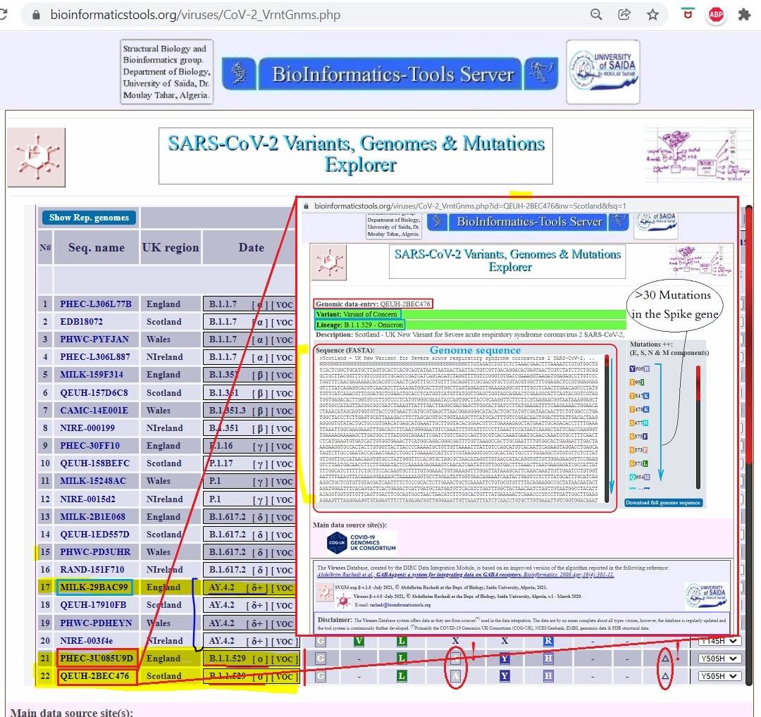 Image 3. " صفحة المستكشف لمتحورات، الجينومات و الطفرات في فيروس سارس-كوف-2 متوفر على الرابط<br> <a href="https://www.bioinformaticstools.org/viruses/CoV-2_VrntGnms.php" target="_blank">https://www.bioinformaticstools.org/viruses/CoV-2_VrntGnms.php</a> "