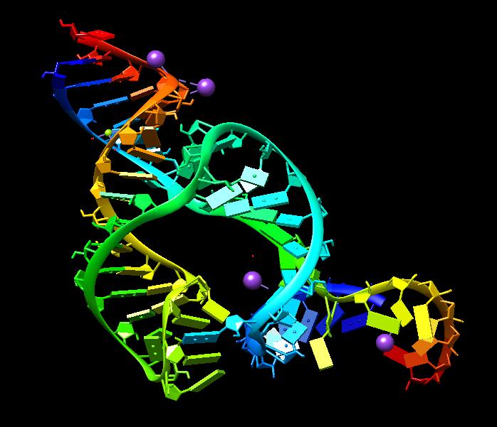 Image 2. " التركيب الفراغي للإنزيم-الريبي برأس-المطرقة HammerHead Ribozyme " "